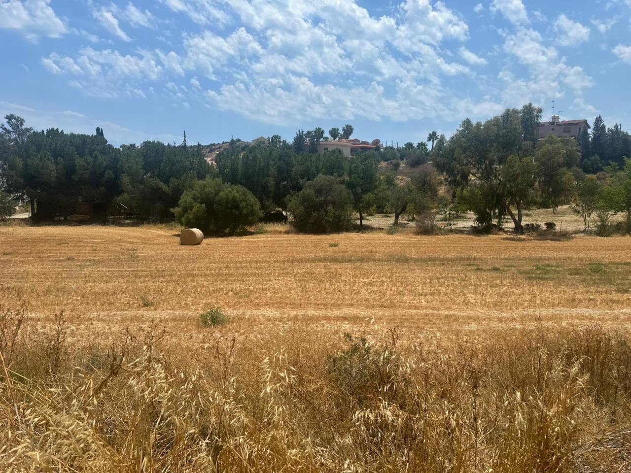Land in Agios Tychonas, Limassol, Cyprus No. 48395