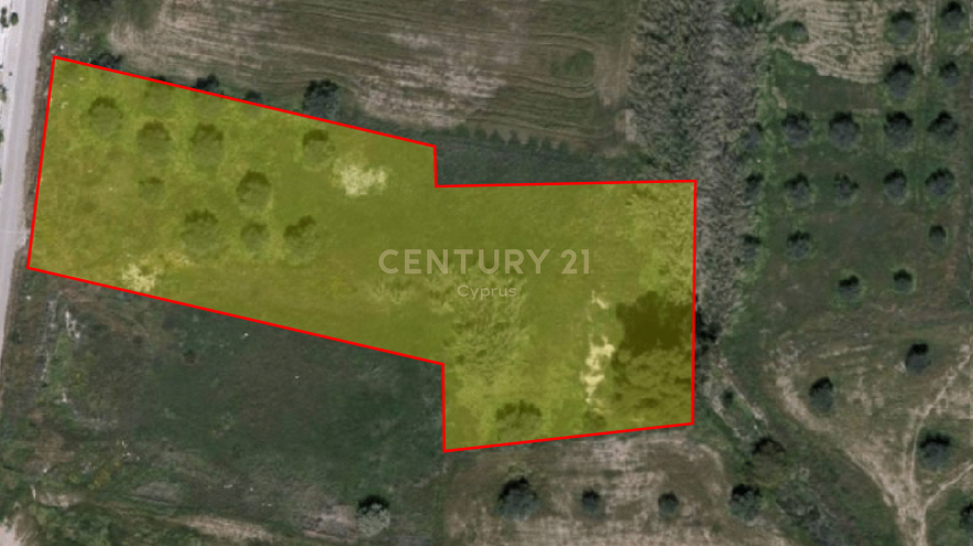 Land in Oroklini, Larnaka, Cyprus No. 53973