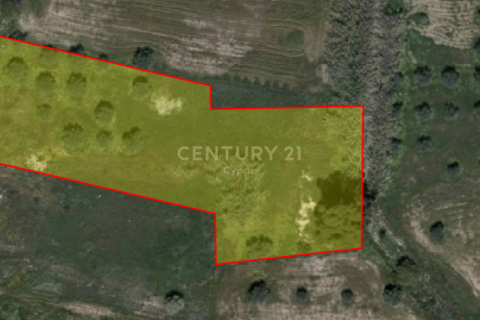 Land in Oroklini, Larnaka, Cyprus No. 53973