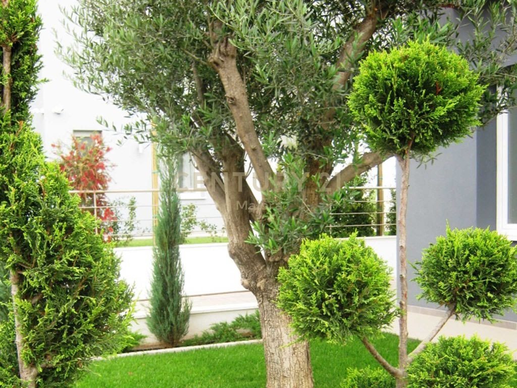 6 chambres Villa à Pyrgos, Limassol, Chypre No. 55719