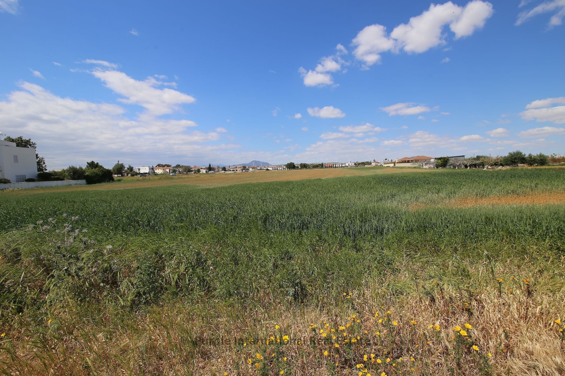Terreno en Kiti, Larnaka, Chipre No. 37173