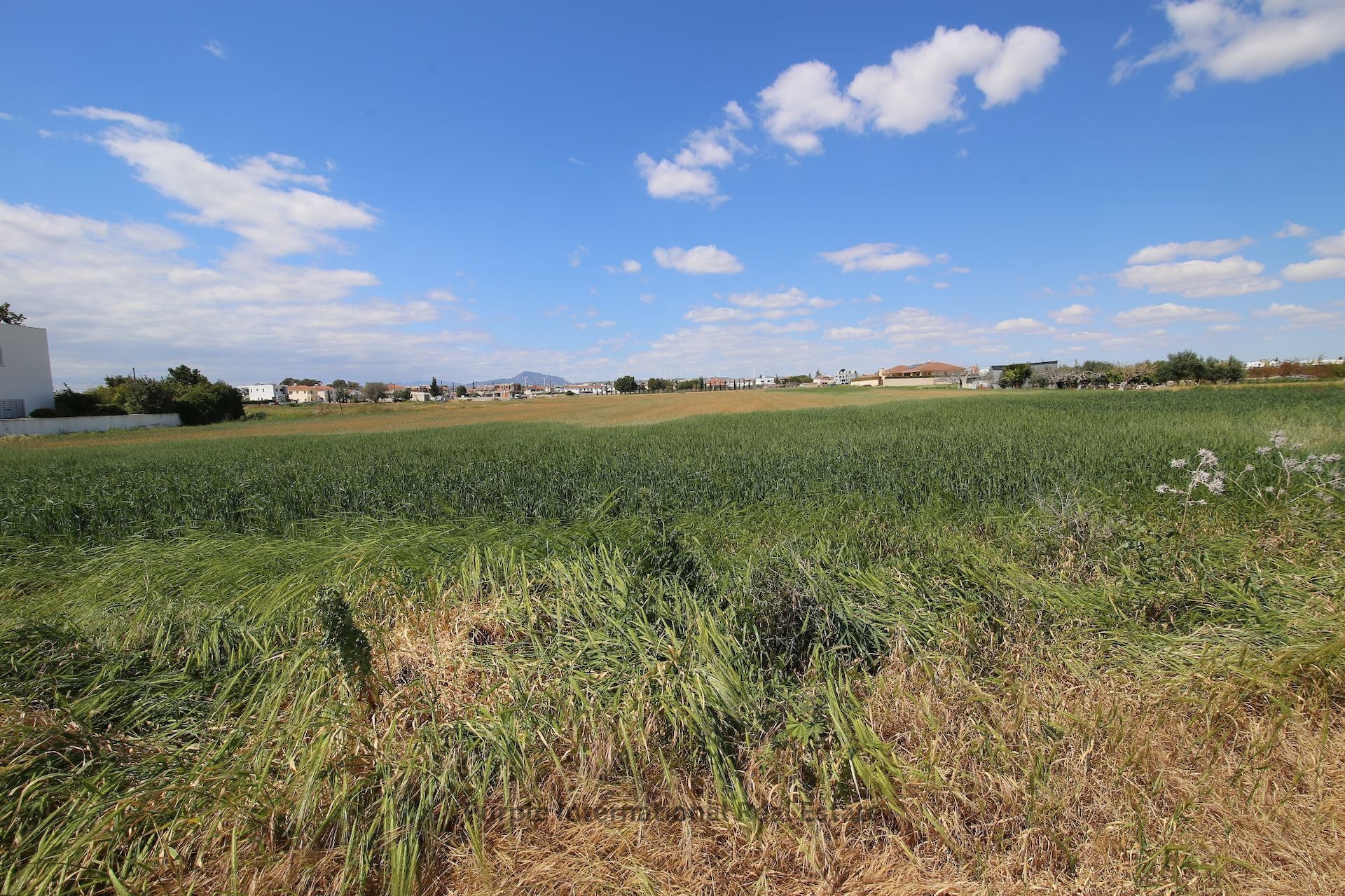 Terreno en Kiti, Larnaka, Chipre No. 37173