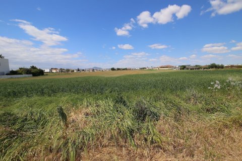Terreno en Kiti, Larnaka, Chipre No. 37173