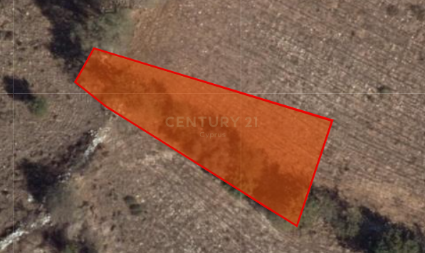 Land in Milia, Paphos, Cyprus No. 56635