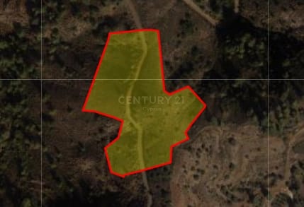 Land in Louvaras, Limassol, Cyprus No. 56636