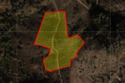 Land in Louvaras, Limassol, Cyprus No. 56636