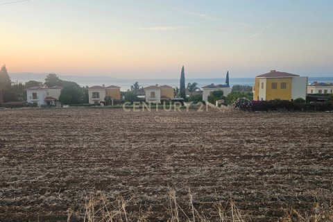 Land in Argaka, Paphos, Cyprus No. 53560