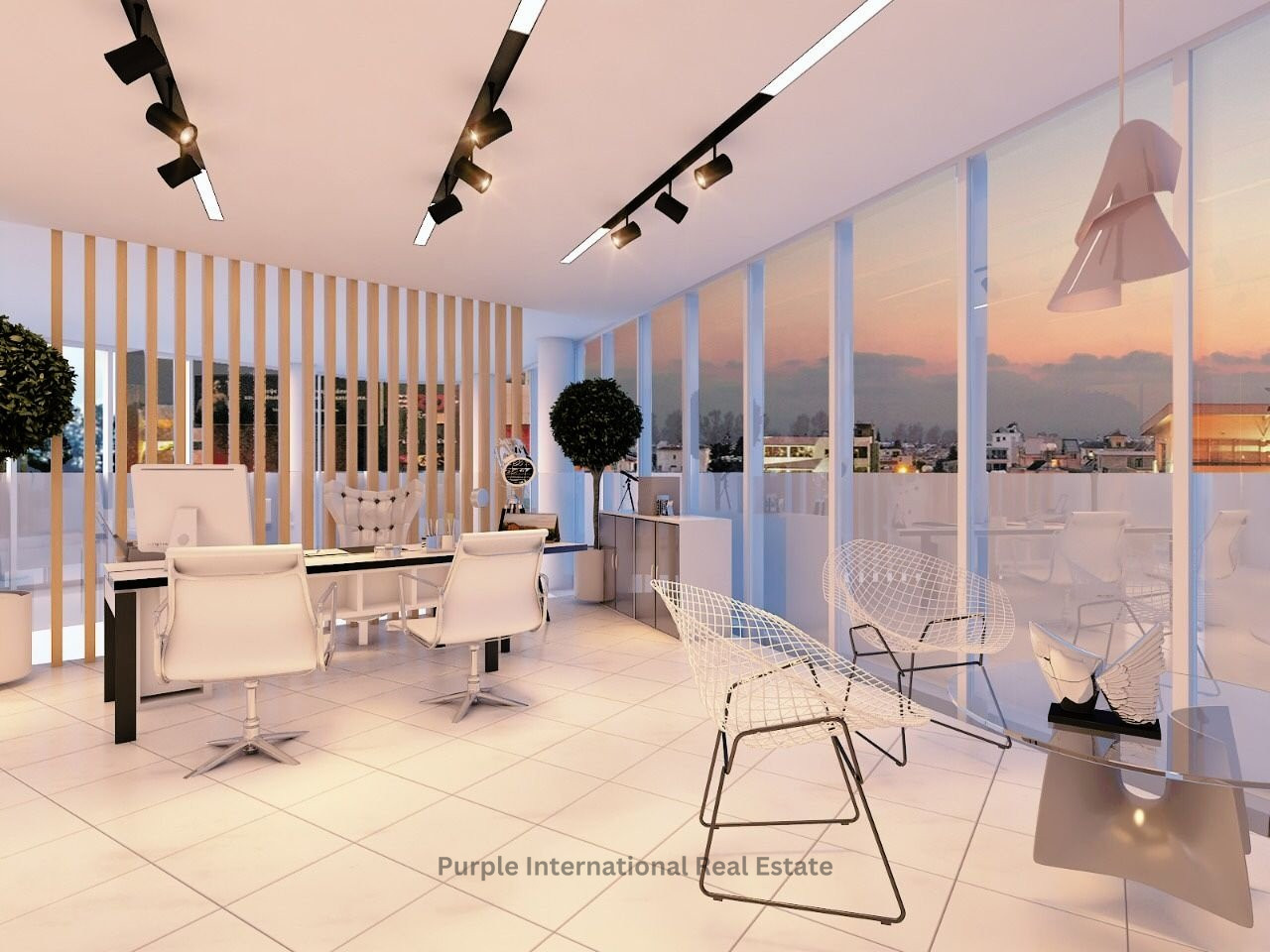 547m2 Office in Paphos, Cyprus No. 36227