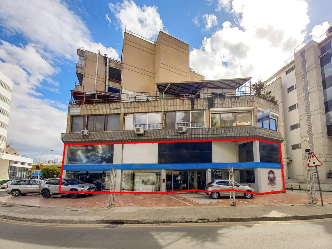 370m2 Commercial property in Nicosia, Cyprus No. 37973