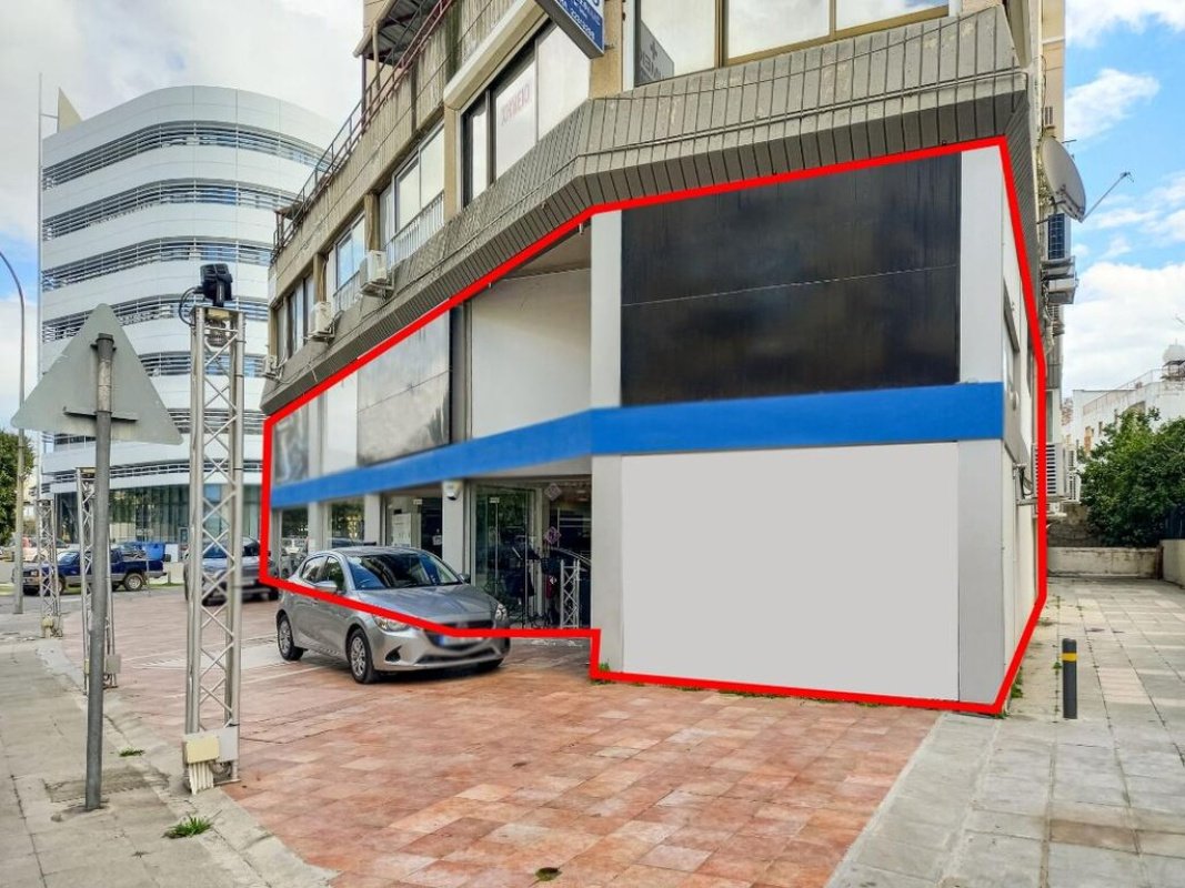 370m2 Commercial property in Nicosia, Cyprus No. 37973
