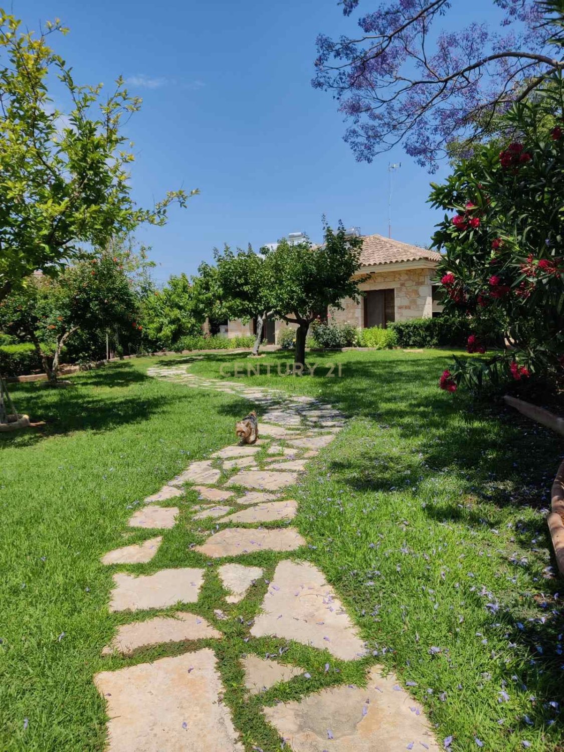 5 dormitorios Villa en Ypsonas, Limassol, Chipre No. 54057