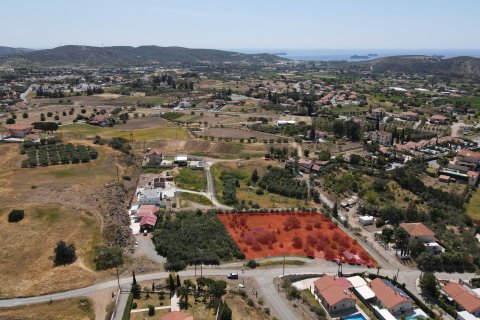 Land in Pyrgos, Limassol, Cyprus No. 55344