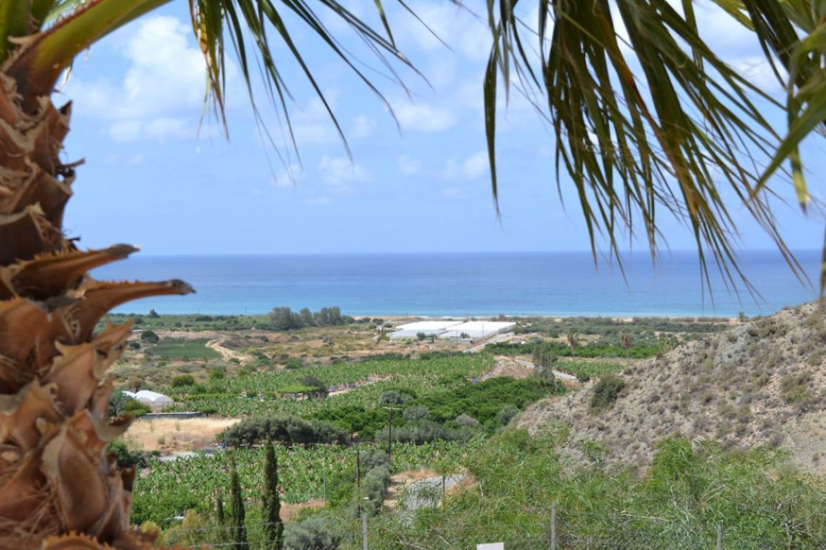 3 chambres Villa à Paphos, Chypre No. 38219