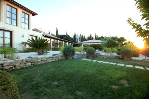 Studio Villa in Paphos, Cyprus No. 38217