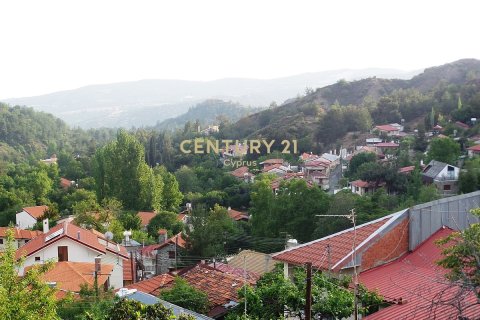 Land in Pano Platres, Limassol, Cyprus No. 55605