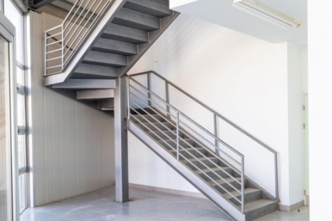 1210m2 Commercial property in Paphos, Cyprus No. 37962