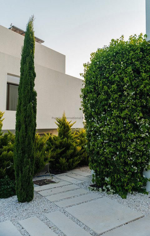 4 dormitorios Villa en Pegeia, Paphos, Chipre No. 50959