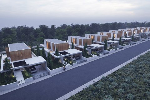Land in Pyrgos, Limassol, Cyprus No. 46858