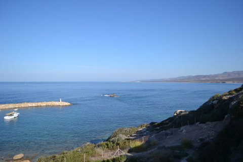 6 rooms Villa in Limassol, Cyprus No. 38994