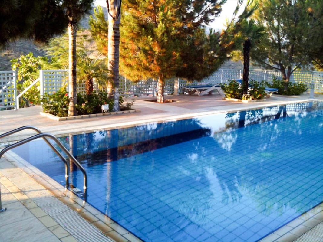 Studio Villa in Limassol, Cyprus No. 38287