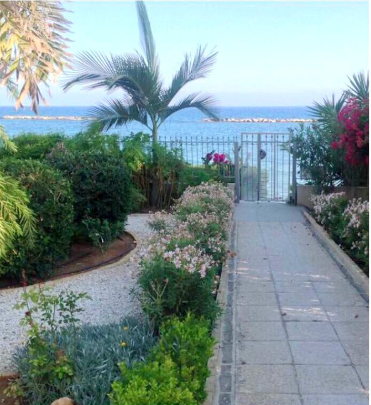 Studio Apartment in Limassol, Cyprus No. 38254