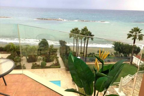 Studio Apartment in Limassol, Cyprus No. 38254