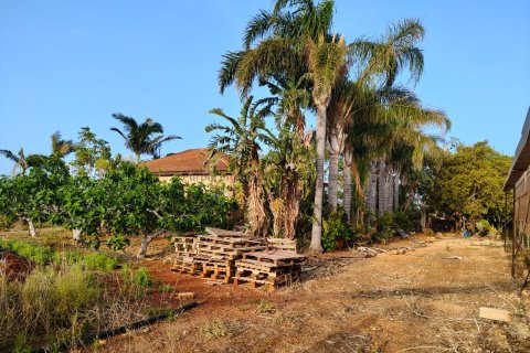 5 bedrooms Bungalow in Ormideia, Larnaka, Cyprus No. 52127