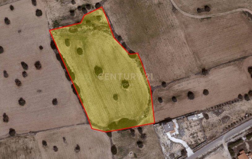Land in Agios Theodoros, Limassol, Cyprus No. 56106