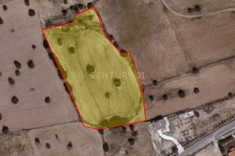 Land in Agios Theodoros, Limassol, Cyprus No. 56106