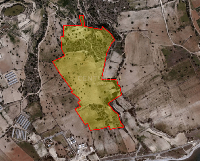 Land in Agios Theodoros, Limassol, Cyprus No. 56107