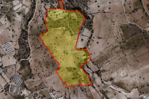 Land in Agios Theodoros, Limassol, Cyprus No. 56107