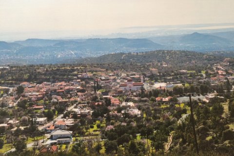 Land in Apesia, Limassol, Cyprus No. 53822