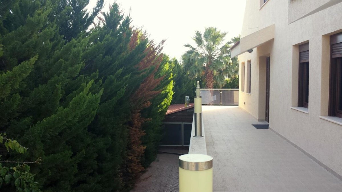Studio Villa in Limassol, Cyprus No. 38696