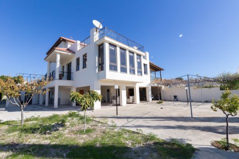 7 bedrooms Villa in Kalavasos, Larnaka, Cyprus No. 36770