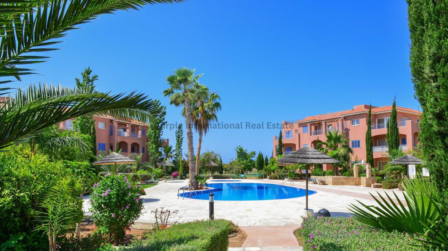 10 chambres Propriété commerciale à Mandria, Paphos, Chypre No. 37606
