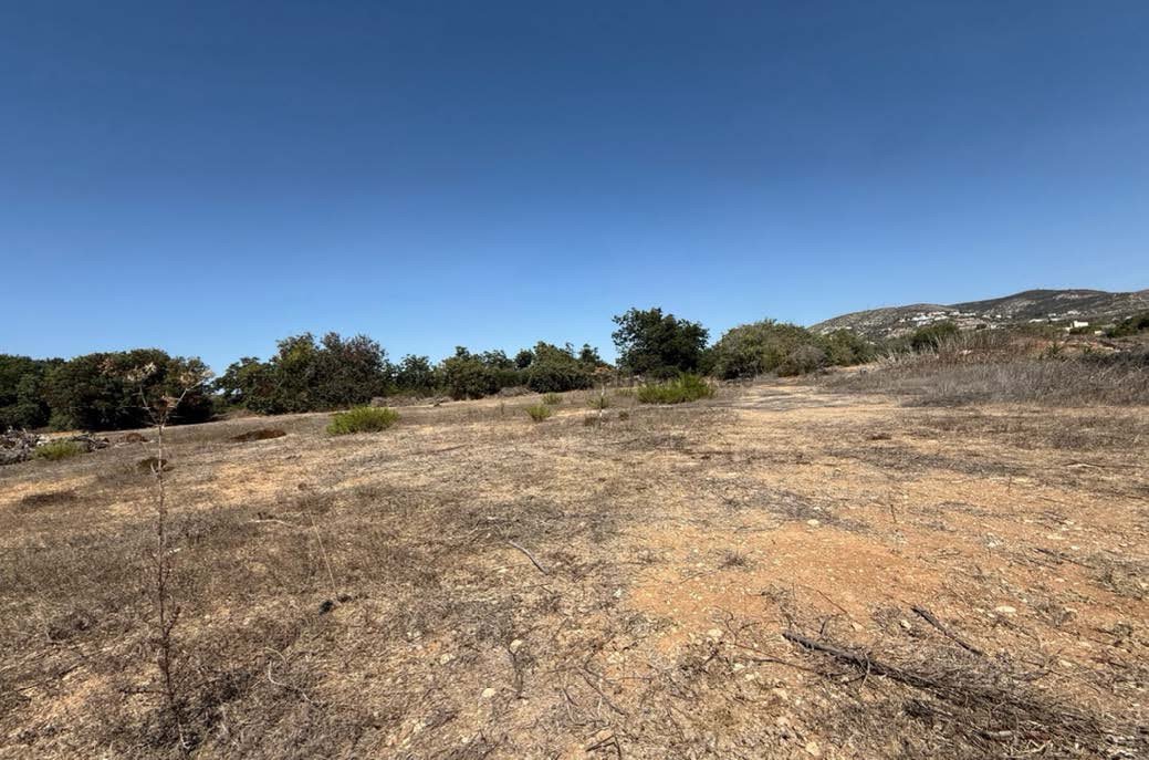 Land in Tremithousa, Paphos, Cyprus No. 50625