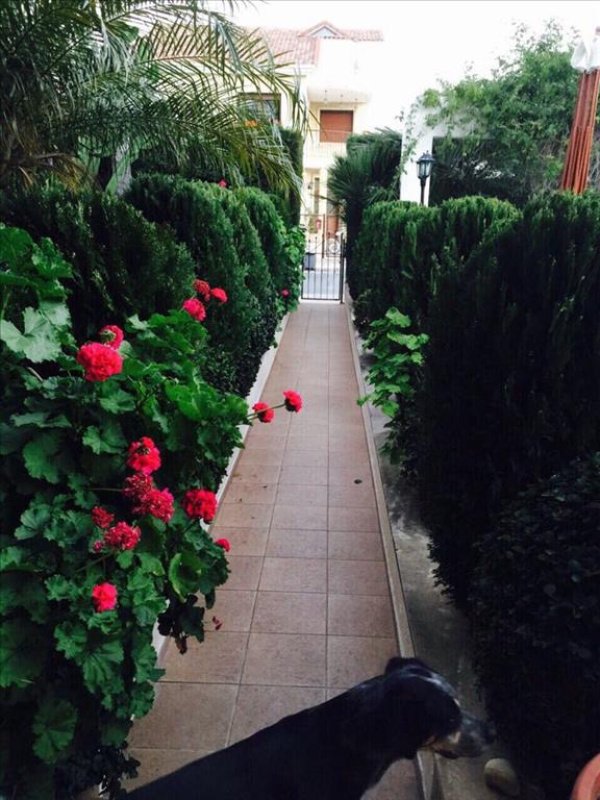 4 bedrooms Villa in Limassol, Cyprus No. 38342