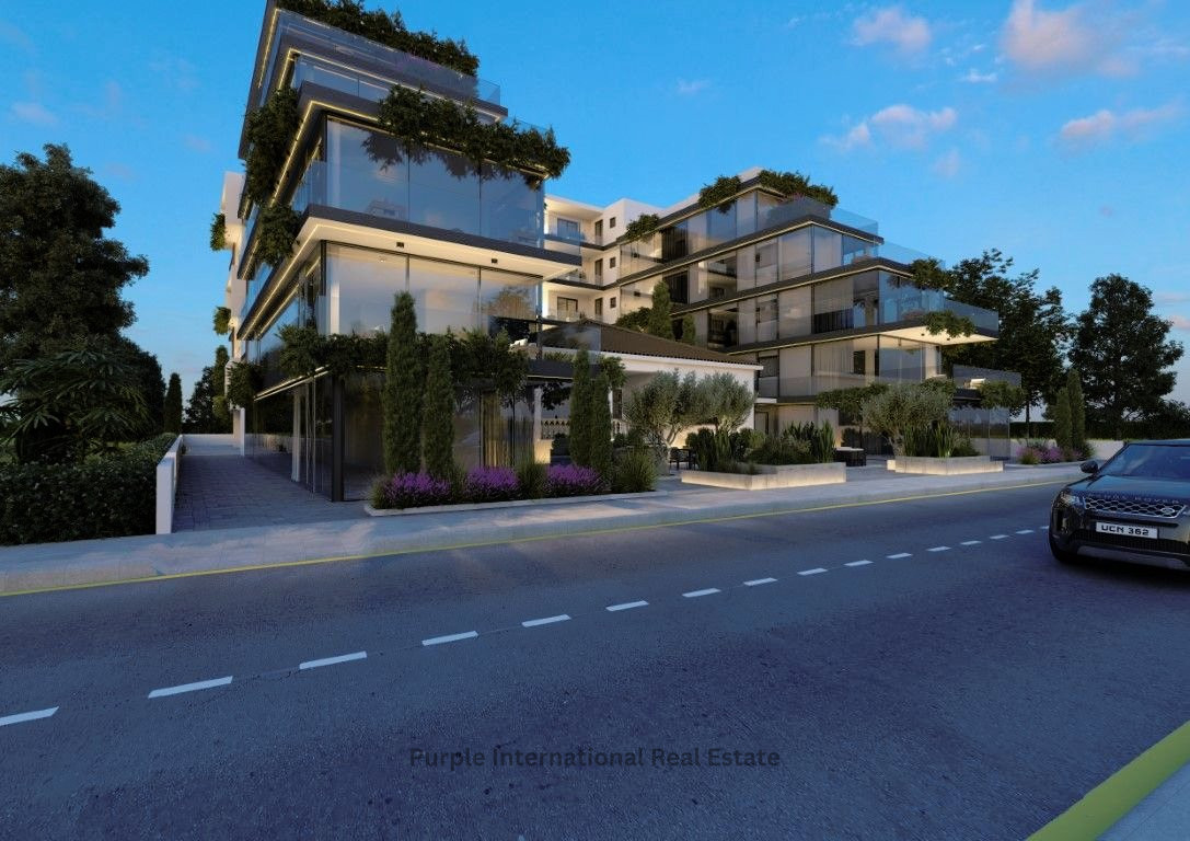 460m2 Office in Paphos, Cyprus No. 36012