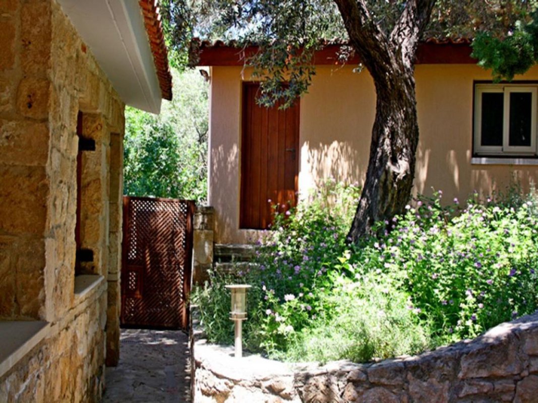 Studio Villa in Paphos, Cyprus No. 37988
