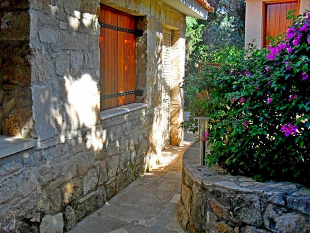 Studio Villa in Paphos, Cyprus No. 37988