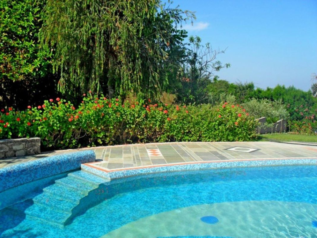 Studio Villa in Paphos, Cyprus No. 37988
