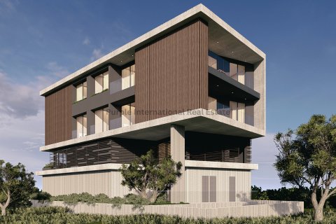79m2 Office in Geroskípou, Paphos, Cyprus No. 50774