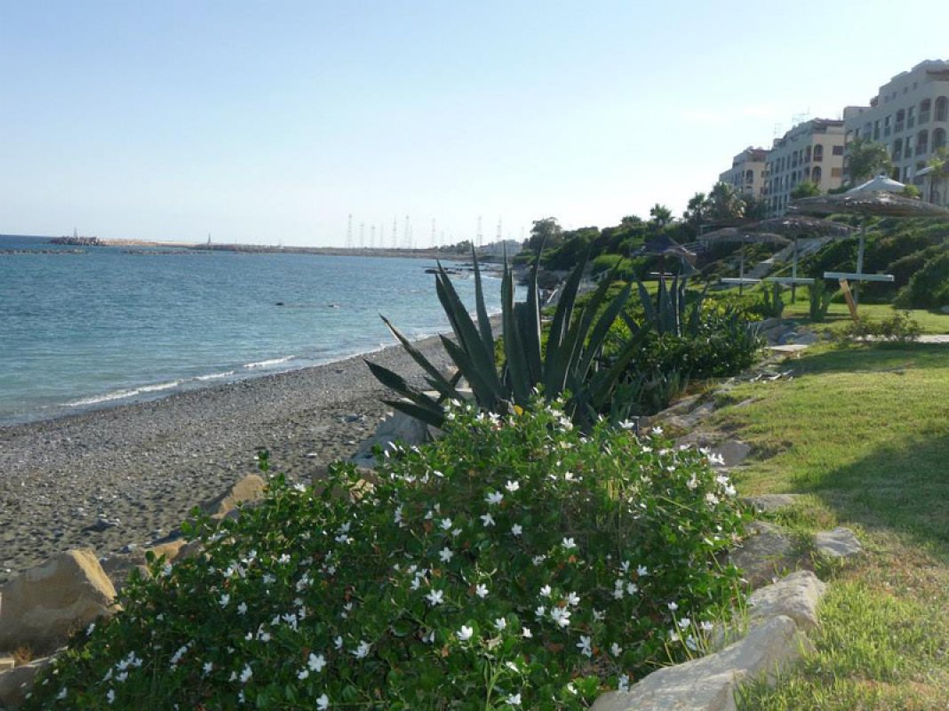 Studio Villa à Limassol, Chypre No. 38191