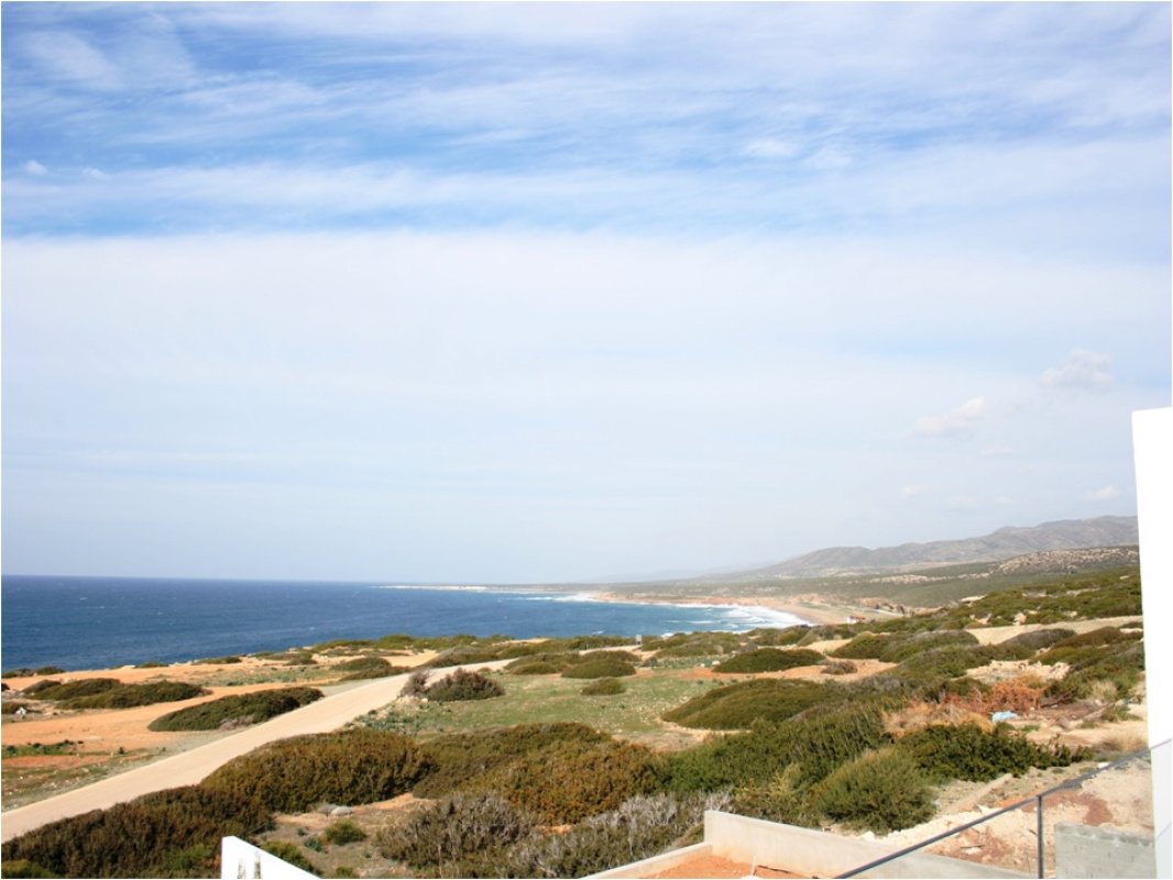 Studio Villa in Paphos, Cyprus No. 38192