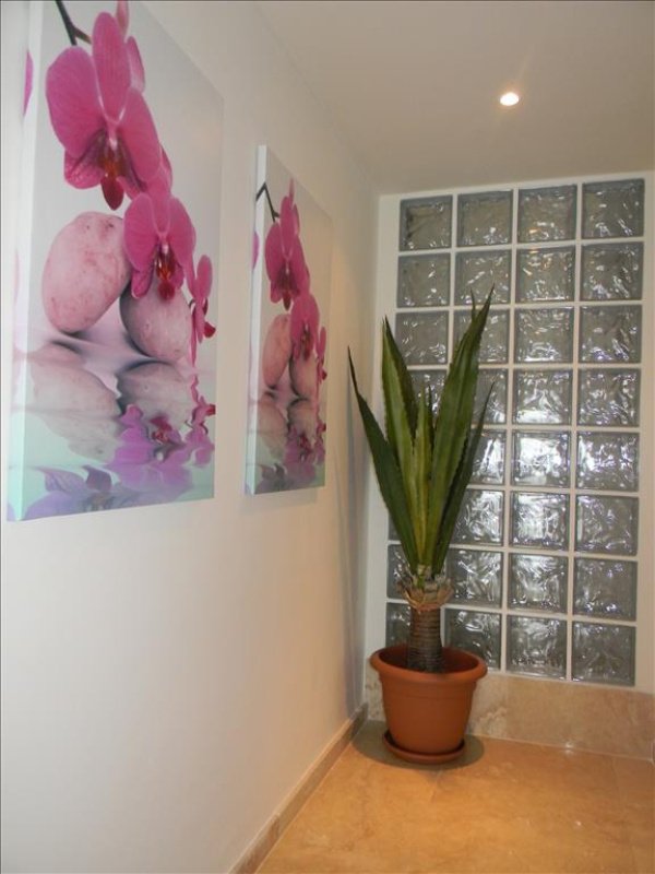Studio Apartment in Limassol, Cyprus No. 38188