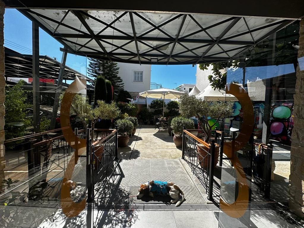 352m2 Oficina en Limassol, Chipre No. 53905