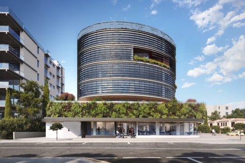 155m2 Office in Paphos, Cyprus No. 48397
