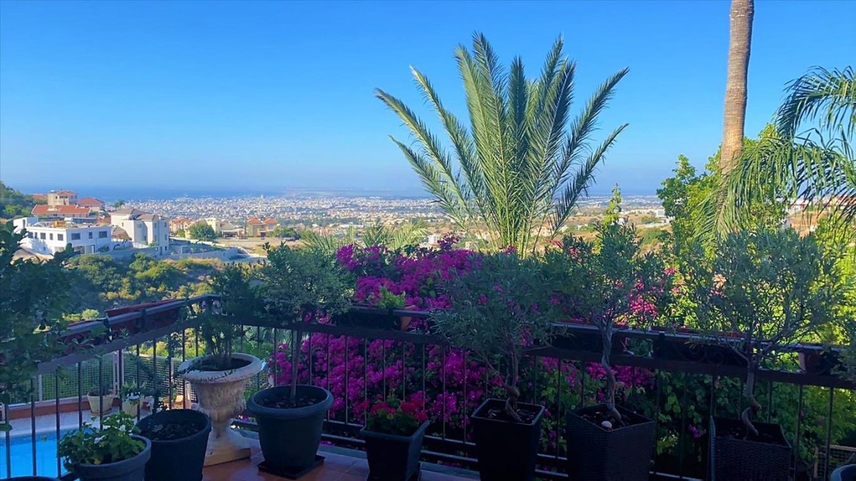 Studio Villa in Limassol, Cyprus No. 38601