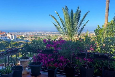 Studio Villa in Limassol, Cyprus No. 38601
