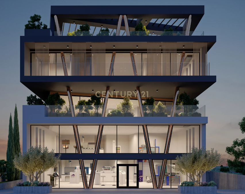 281m2 Office in Kato Polemidia, Limassol, Cyprus No. 56013